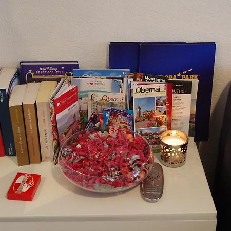 Ferienwohnung Nid Douillet A Obernai Exterior foto